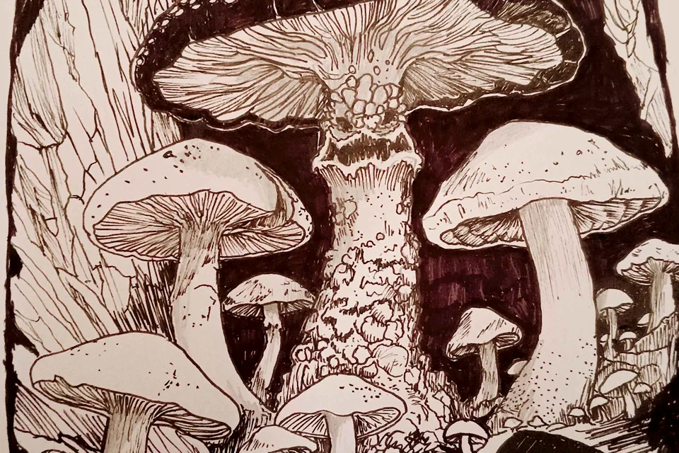 AJ Pickett ink illustration of towering mushrooms in a cavern-like arch.