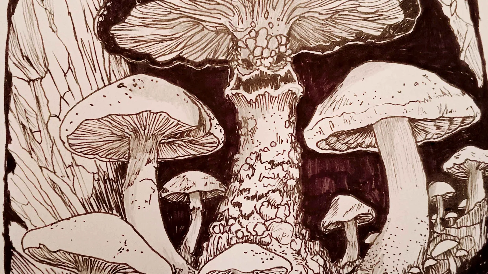 AJ Pickett ink illustration of towering mushrooms in a cavern-like arch.